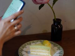 蚕豆蓉酸奶油蛋糕-竹子咖啡bamboo coffee