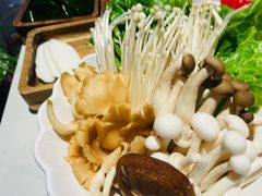 -九鼎轩脆毛肚火锅(三钢里店)