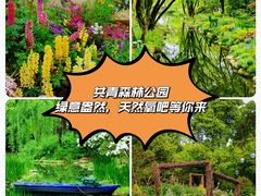 -上海共青森林公园
