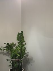 -伊丽汇