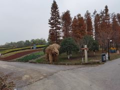 -梁鸿国家湿地公园