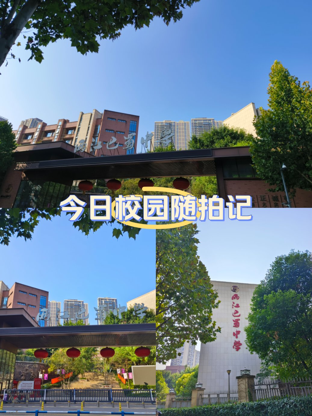 今日校园图片