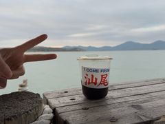 -汕尾风车岛
