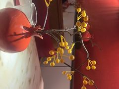 -京华烟云·北京烤鸭(领展购物广场·中关村店)