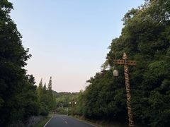 -宜兴龙背山森林公园