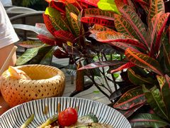 -Golden Lily河内巴黎法越料理餐厅(建国西路店)