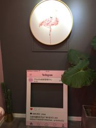 -Priscilla皮肤管理中心