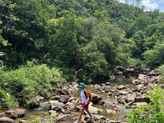 -广州白江湖森林公园