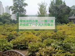 -迎泽公园