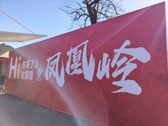 -北京凤凰岭