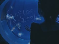 -芜湖新华联大白鲸海洋公园