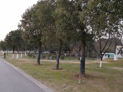 -七桥瓮公园