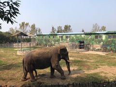 -西安秦岭野生动物园