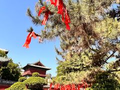 -隆兴寺