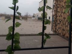 -紫轩葡萄酒庄园