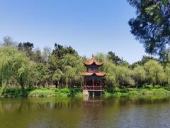 -渡海小渔村.老辈日照菜