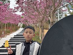 -盈香心动乐园