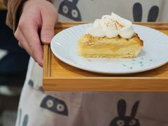 -猫里有甜
