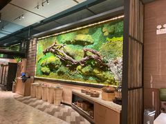 -好望角大饭店(肇嘉浜路店)