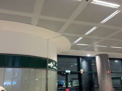 -米兰-马尔彭萨机场