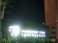-三亚湾红树林度假世界(木棉酒店)
