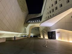 -国际青年会议酒店