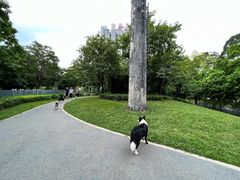 -景田北六街公园宠物主题园