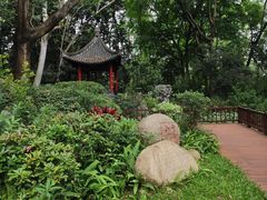 -深圳国际园林花卉博览园