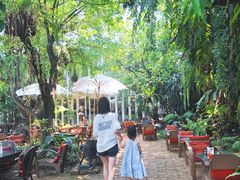 -Fern Forest Cafe