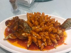 -金蝉食府(维吉奥广场店)