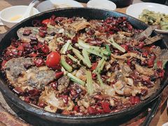 -老板恋上鱼(恒隆广场店)