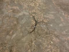 -徐州博顿温德姆酒店(高铁东站店)