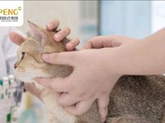 -宠颐生宠物医院外科·内科·皮肤科·影像科(石龙店)