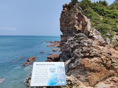 -鹿嘴山庄