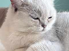 -怪兽屋·羊驼·猫咖·狗咖(俊华广场店)