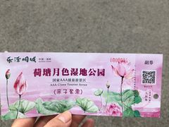-荷塘月色湿地公园·向阳花洲