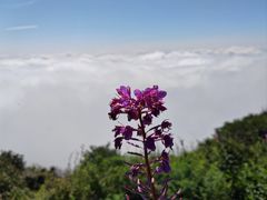 -白草畔自然风景区