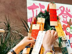 -三秋舍·梦幻岛(小西路店)