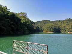 -广州市流溪河国家森林公园