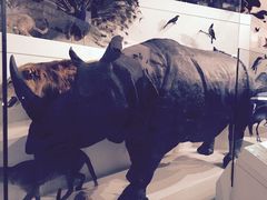 -墨尔本博物馆(Melbourne Museum)
