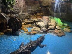 -多彩贵州城极地海洋世界