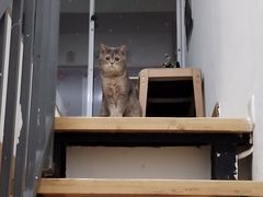 -明月雅筝古筝培训