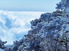 -安吉龙王山风景区