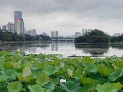 -南宁南湖公园