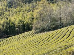 -敬亭山风景名胜区