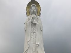 -白洋淀景区