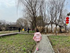 -溱湖国家湿地公园