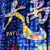 国际顶尖杂技表演‼️全场惊叹声掌声👏不断