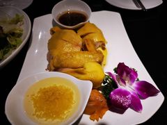 -高第街56号餐厅(泰安万达店)