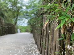 -海兰云天度假区温泉